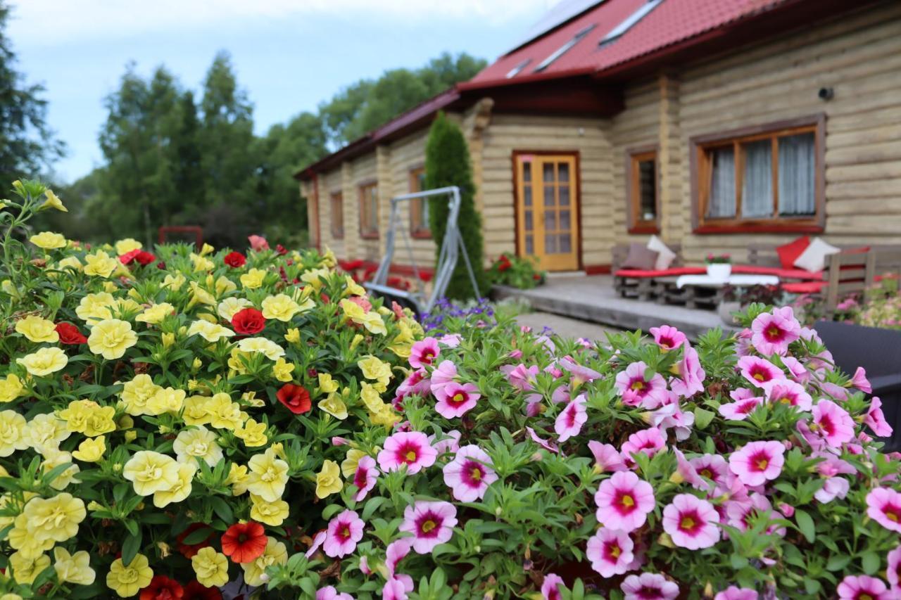 Viesu Nams Zala Sala Hotel Litavniki Eksteriør billede